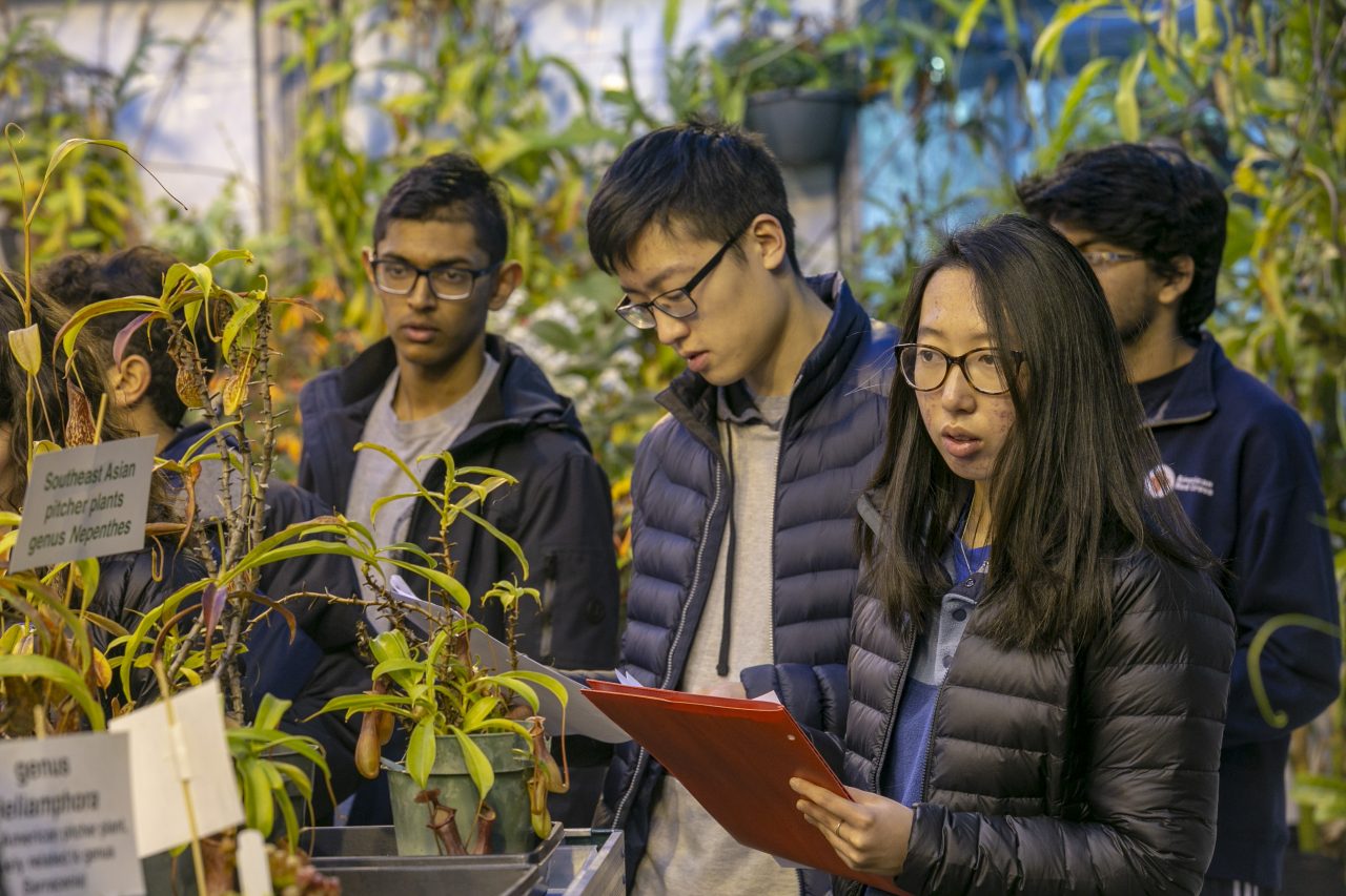 Four students observe plants in a greenhouse while holding papers to write notes.