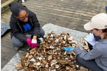 Two Law School students count Styrofoam fragments pulled from a trash trap.