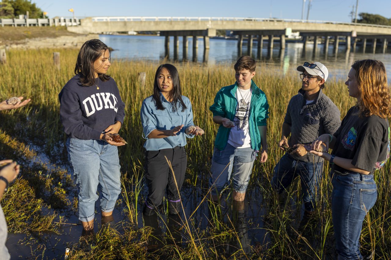 Faculty member Juliet Wong holds marine invertebrates while teaching students during a field excursion into the marsh near the Duke Marine Lab.