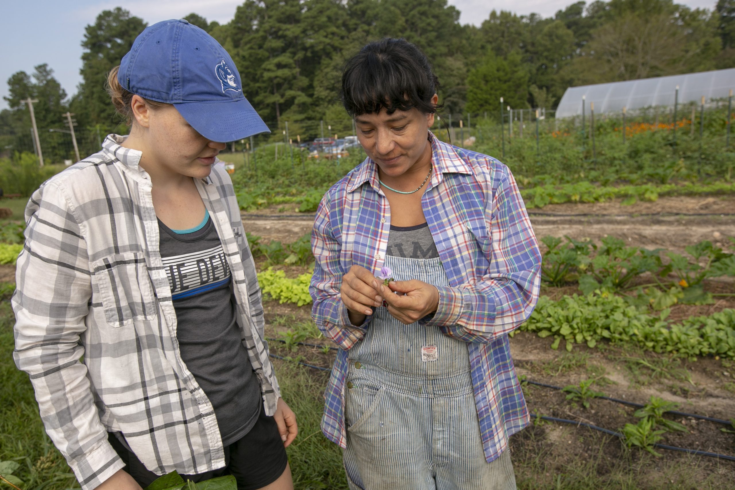 Duke Campus Farm Director Saskia Cornes shows a student details of a plant while standing in a field.