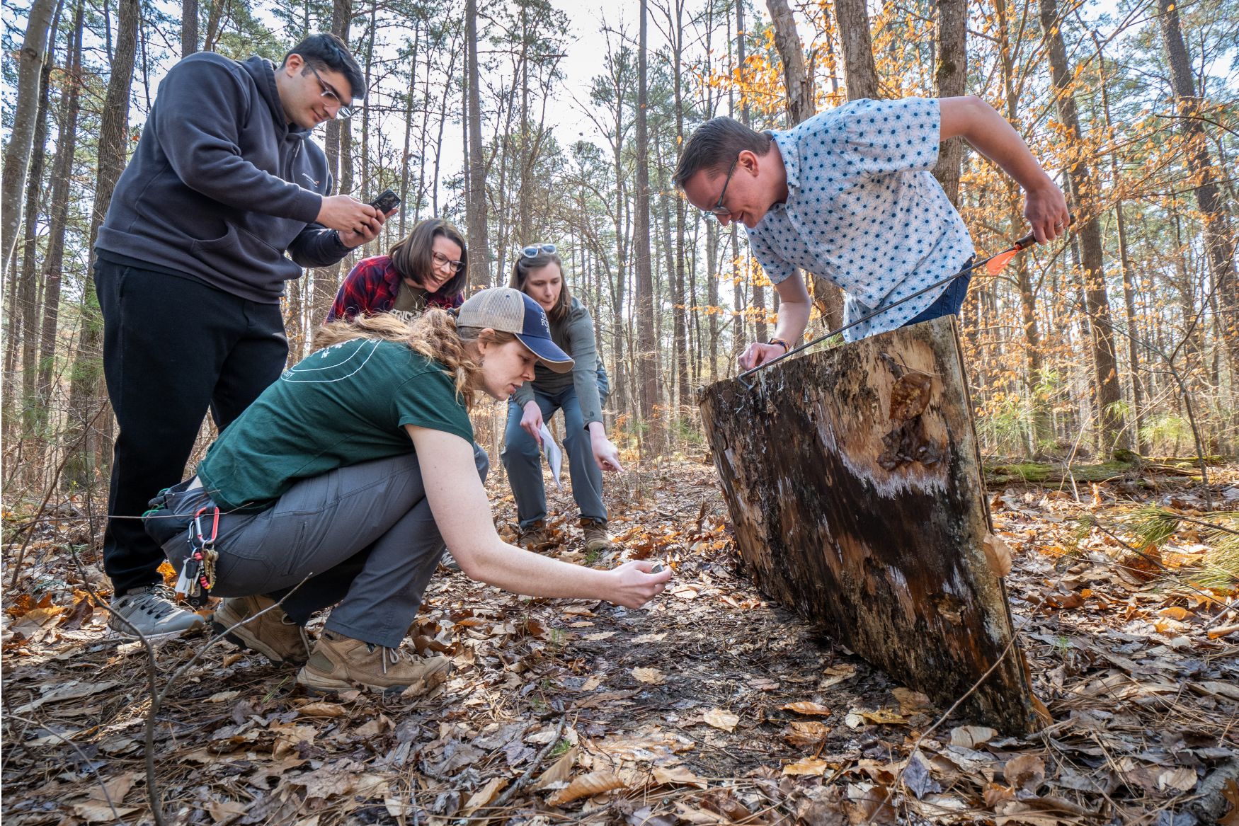 A Duke Forest staff member crouches on the ground to look under a piece of plywood in the forest, as another staff member lifts the plywood and three other people look on.