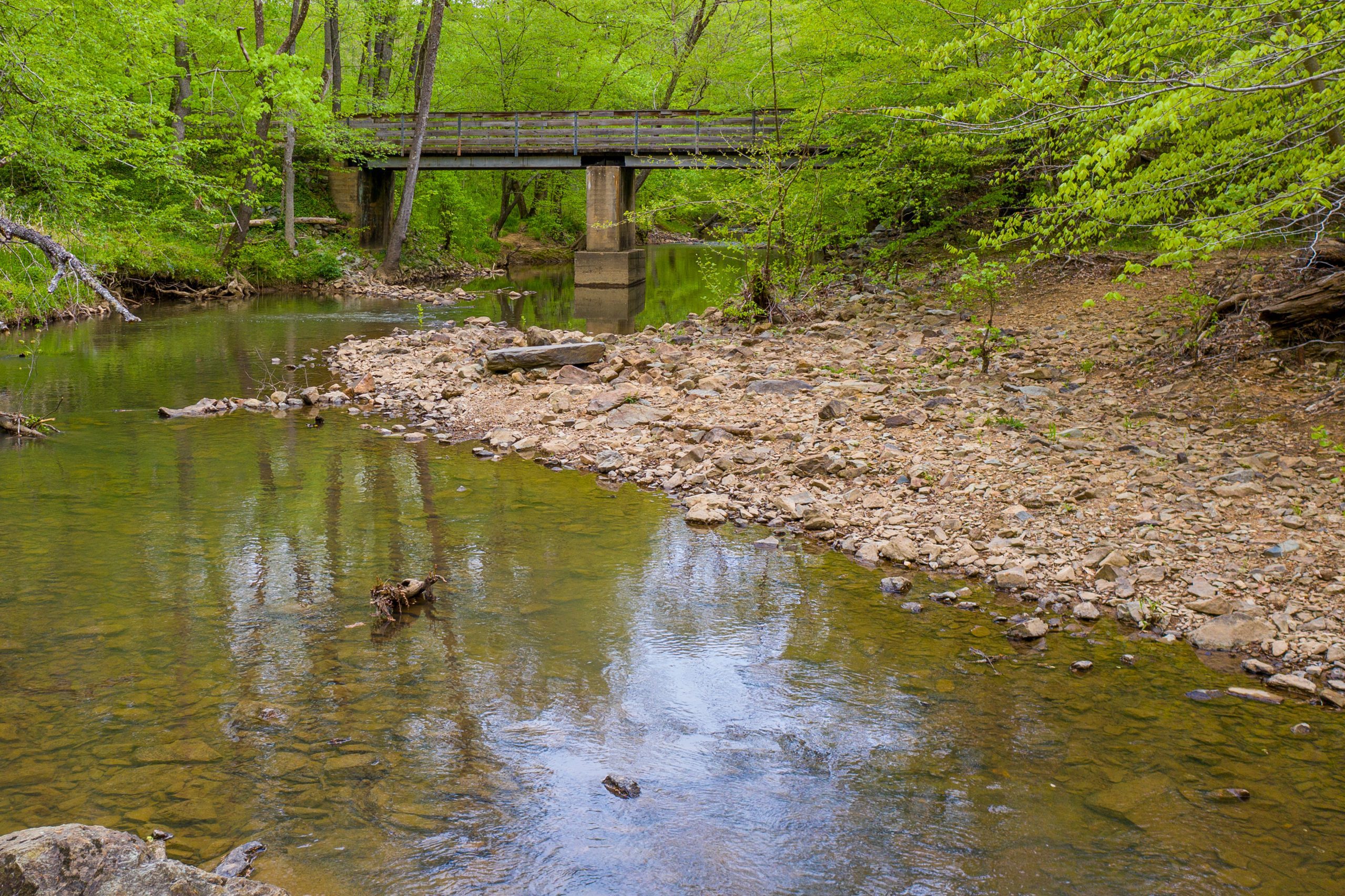 New Hope Creek in Duke Forest with a wooden bridge in the background.