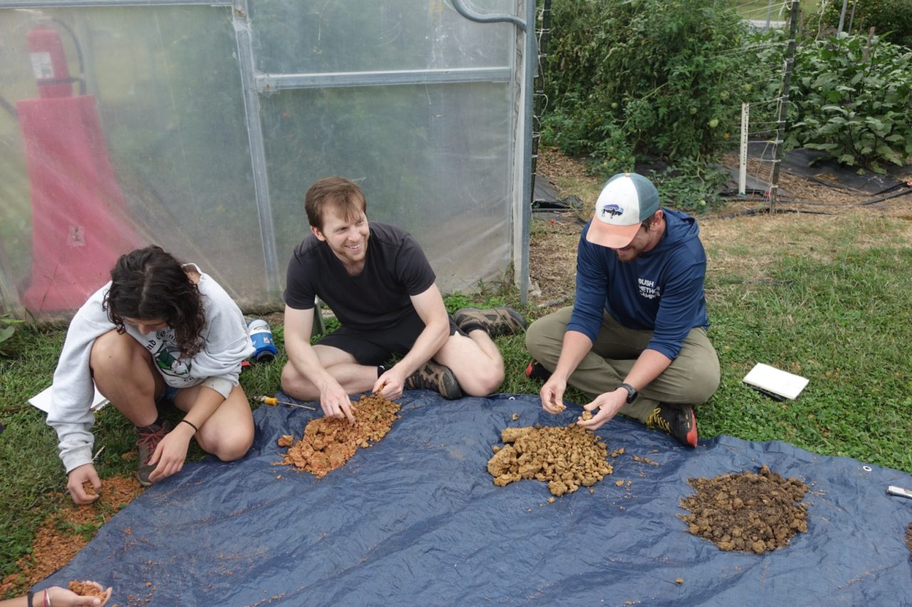 Three students at the Duke Campus Farm evaluating different types of soil.