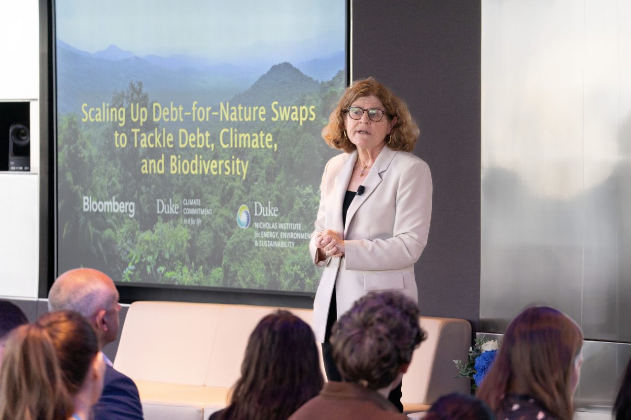 Liz Losos presenting on Debt for Nature Swaps to tackle deb, climate, and biodiversity during New York Climate Week.