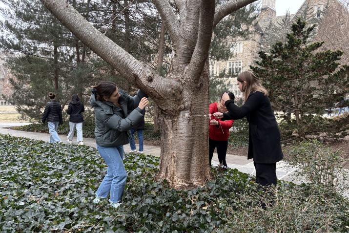 Students measure a tree on campus.