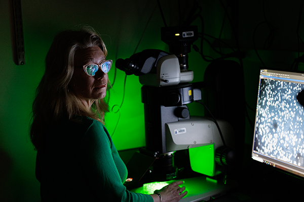 Amy Gladfelter, PhD, at Duke University School of Medicine, unlocks the potential of shape-shifting proteins to drive climate adaptation. (Photo by Eamon Queeney)