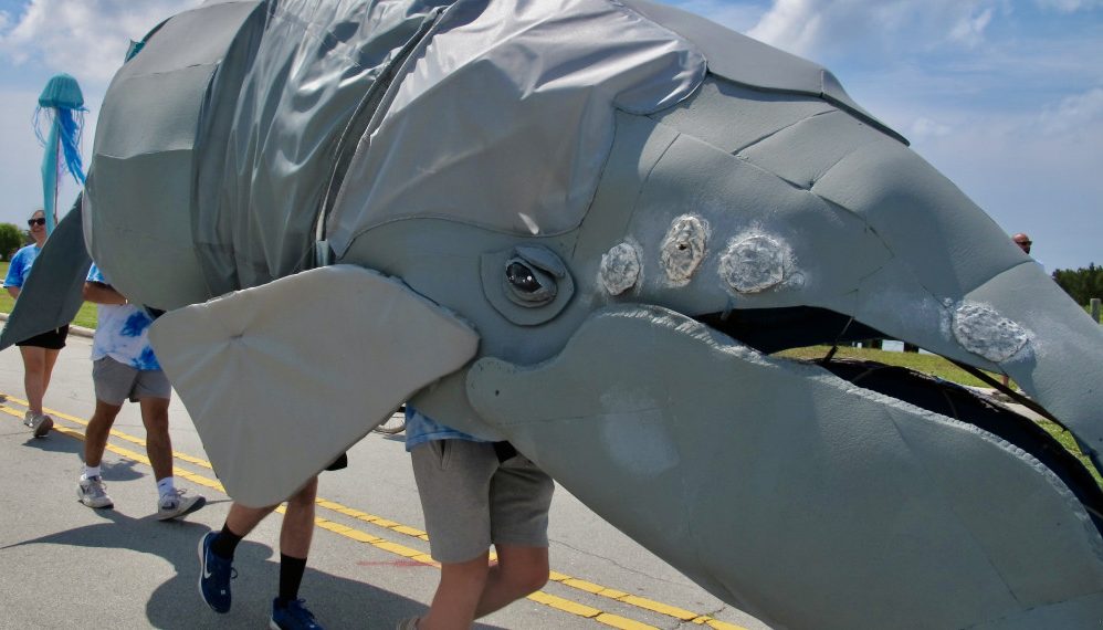 Giant whale puppet in community parade