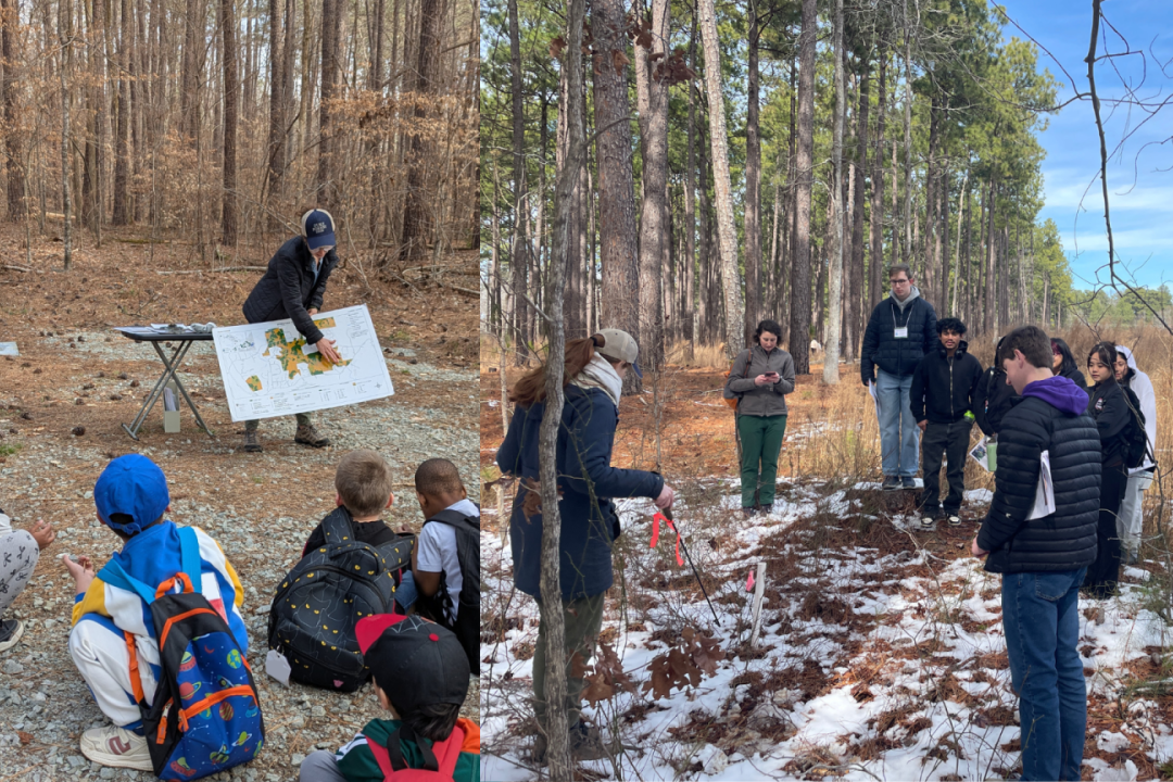 Composed photo of two sets of young students from area schools visiting Duke Forest and learning on site