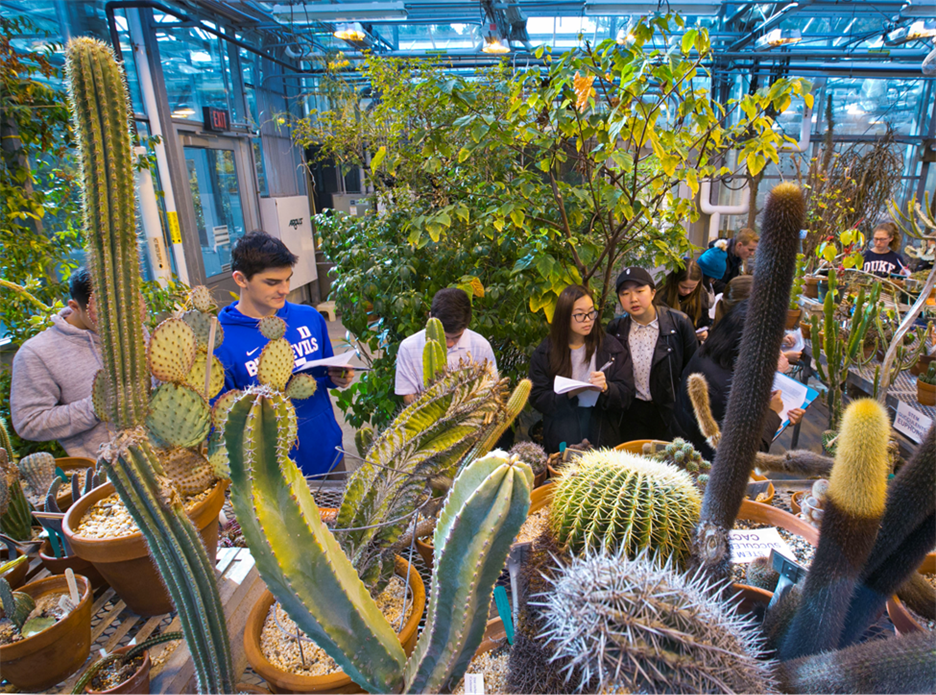 Students in the Greenhouse